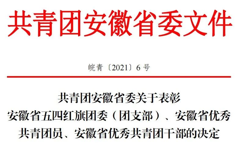 集團團委副書記高濤濤榮獲“安徽省優(yōu)秀共青團干部”稱號