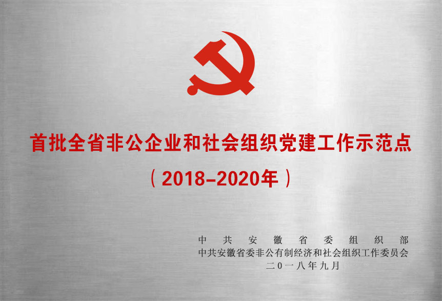 首批全省非公企業(yè)和社會(huì)組織黨建工作示范點(diǎn)（2018-2020年）